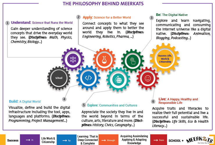 meerkats Infographic